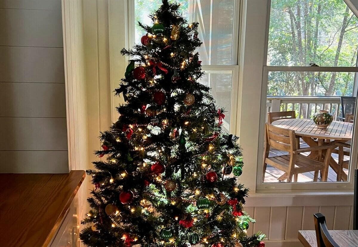 Spend the holidays at Lost Cove!